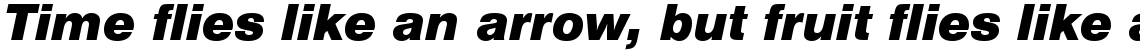 Nimbus Sans black italic