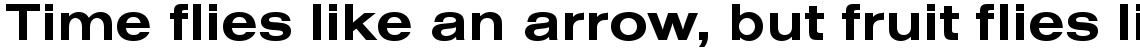 Nimbus Sans bold extended