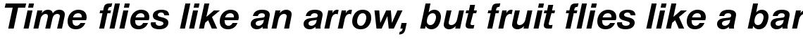 Nimbus Sans bold italic (D)