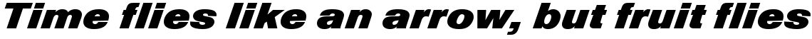 Nimbus Sans Diagonal standard (D)