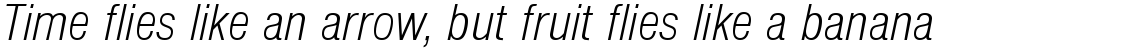 Nimbus Sans light condensed italic (D)