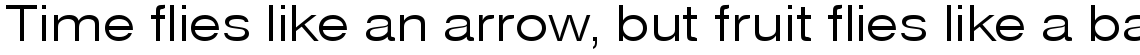 Nimbus Sans light extended