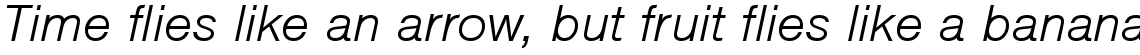 Nimbus Sans light italic