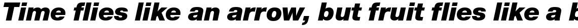Nimbus Sans Novus Black Italic