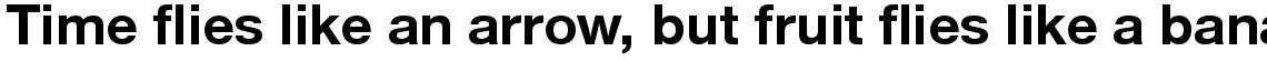 Nimbus Sans Novus Bold