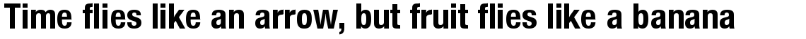 Nimbus Sans Novus Bold Condensed