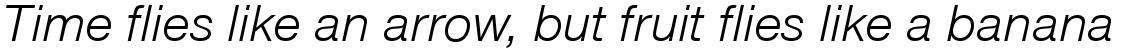 Nimbus Sans Novus regular italic