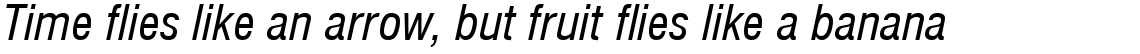 Nimbus Sans regular condensed italic (D)