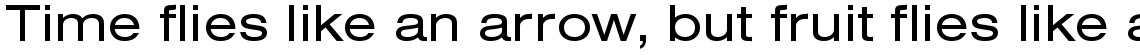 Nimbus Sans regular extended