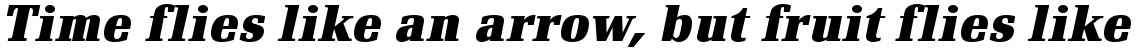 Renault bold italic