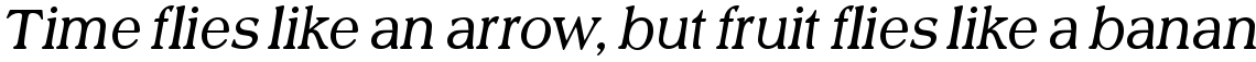 URW Scenario light italic