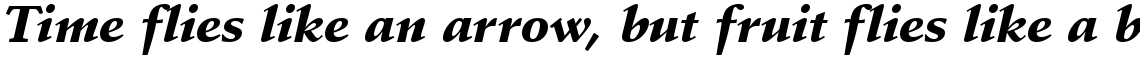 Schneidler Amalthea black italic