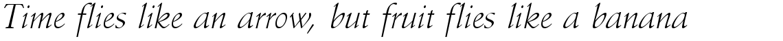 Schneidler Amalthea light italic