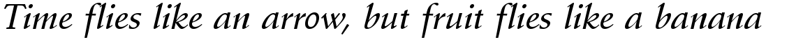 Schneidler Amalthea medium italic