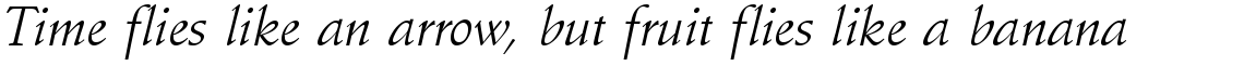 Schneidler Amalthea regular italic