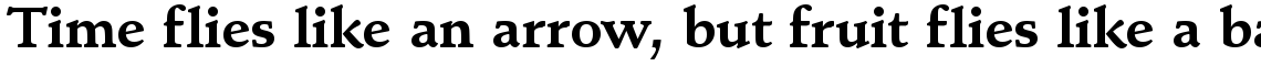 Schneidler Mediaeval bold