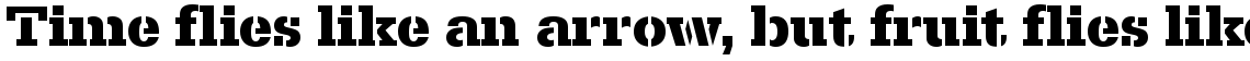 Serifa Stencil bold (D)
