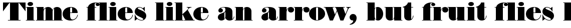 Thorowgood regular (D)