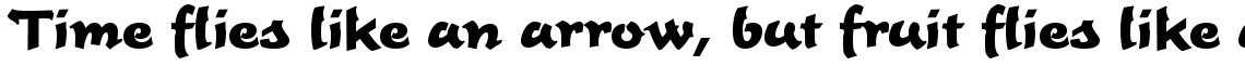 Time Script bold (D)