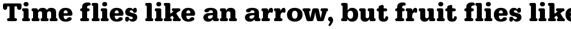 URW Typewriter bold