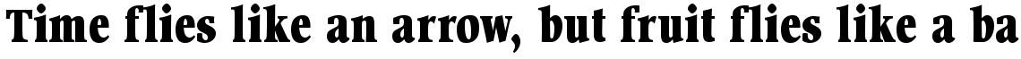URW Wordsworth bold condensed
