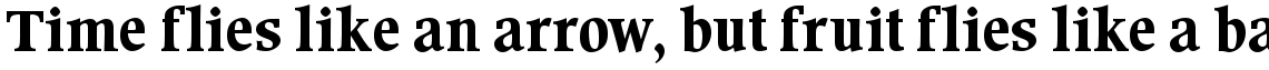 URW Wordsworth medium