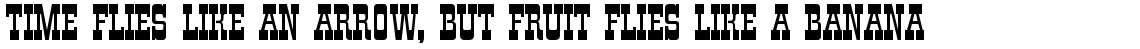 Zirkus standard (D)