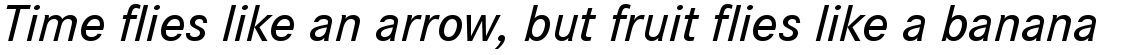 Corporate S Medium Italic