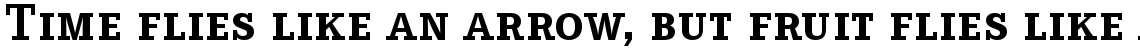 Corporate E SC Bold