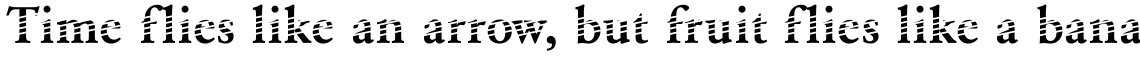 DTC Garamond M21