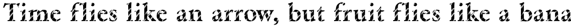 DTC Garamond M27