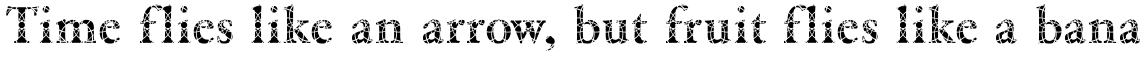 DTC Garamond M29