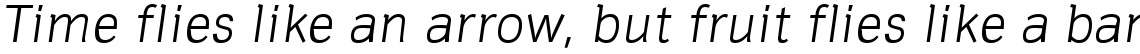 Hermes DTC T Light Italic