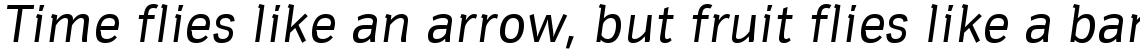 Hermes DTC T Regular Italic