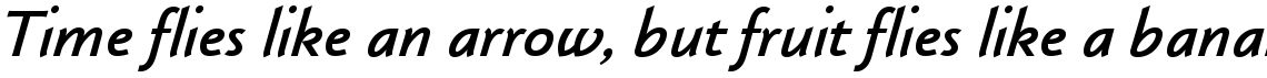 Klassika Bold Italic
