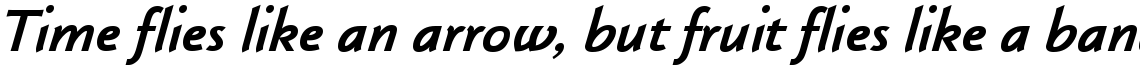 Klassika Black Italic