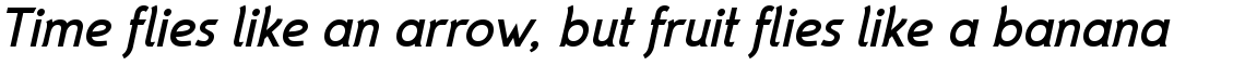 Parametra T Bold Italic