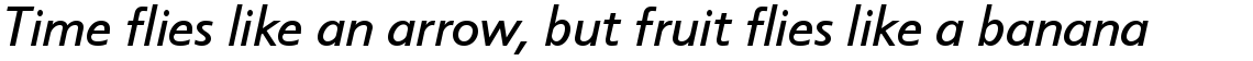 Scylla Medium Italic