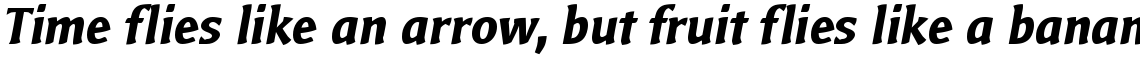 Bardi T Bold Italic