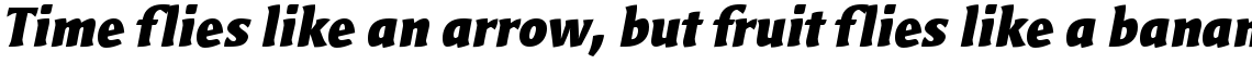 Bardi T Ultra Bold Italic