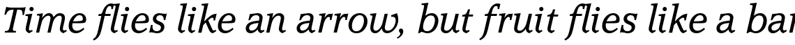 Accolade Light Italic
