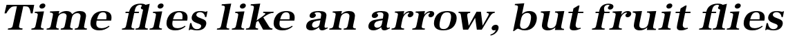 URW Antiqua Bold Extra Wide Oblique