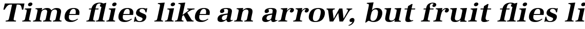 URW Antiqua Bold Wide Oblique