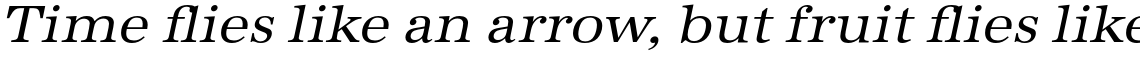 URW Antiqua Regular Wide Oblique