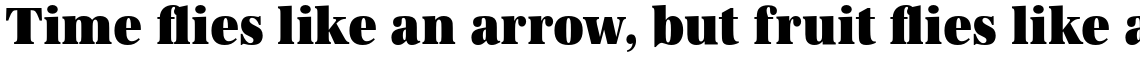 URW Antiqua Ultra Bold Extra Narrow