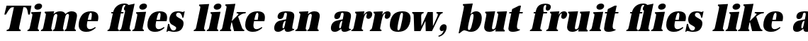 URW Antiqua Ultra Bold Extra Narrow Oblique