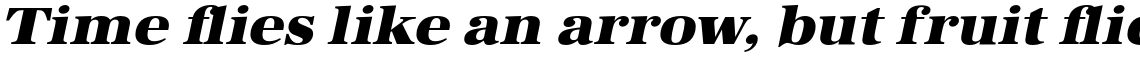 URW Antiqua Ultra Bold Extra Wide Oblique