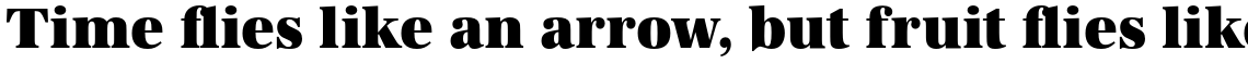 URW Antiqua Ultra Bold Narrow