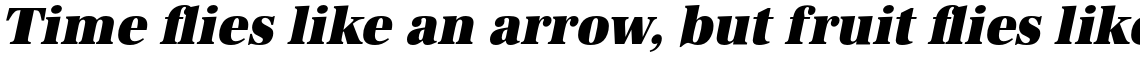 URW Antiqua Ultra Bold Narrow Oblique