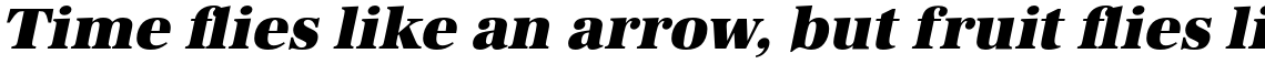 URW Antiqua Ultra Bold Oblique